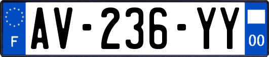 AV-236-YY