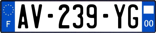 AV-239-YG