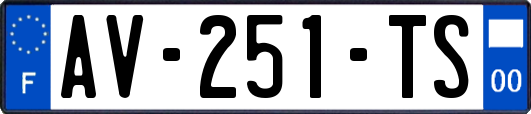AV-251-TS