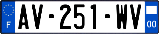 AV-251-WV