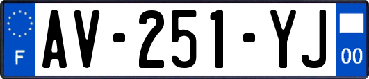 AV-251-YJ