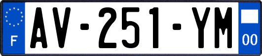 AV-251-YM