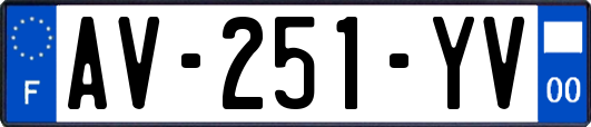 AV-251-YV