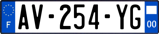 AV-254-YG