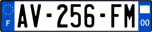 AV-256-FM