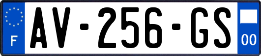 AV-256-GS