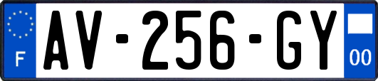 AV-256-GY