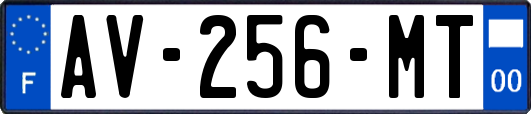 AV-256-MT