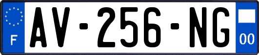 AV-256-NG