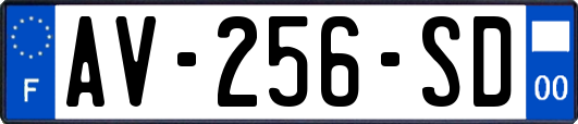 AV-256-SD