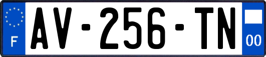 AV-256-TN