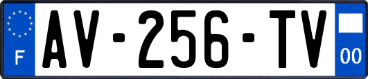 AV-256-TV