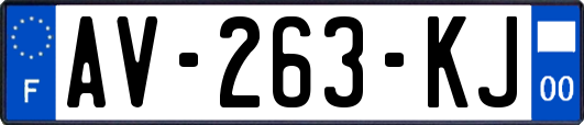 AV-263-KJ