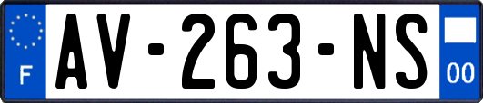 AV-263-NS