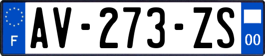 AV-273-ZS