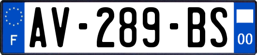 AV-289-BS