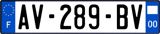 AV-289-BV