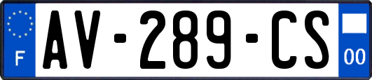 AV-289-CS