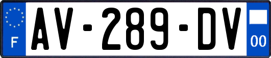 AV-289-DV