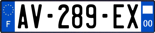 AV-289-EX