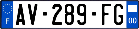 AV-289-FG
