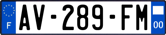 AV-289-FM