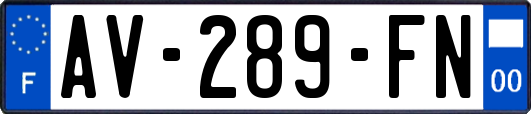 AV-289-FN