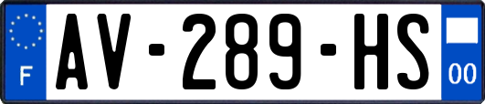 AV-289-HS