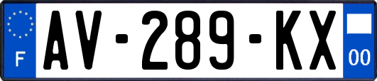AV-289-KX