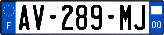 AV-289-MJ
