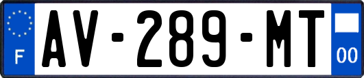 AV-289-MT