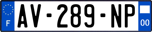 AV-289-NP