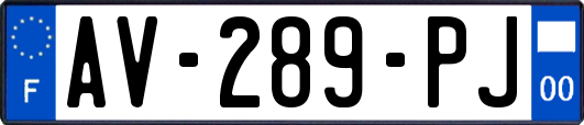 AV-289-PJ
