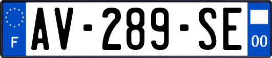 AV-289-SE