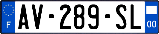 AV-289-SL