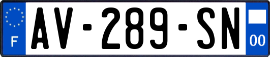 AV-289-SN