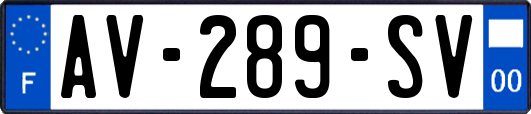 AV-289-SV