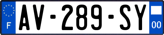 AV-289-SY