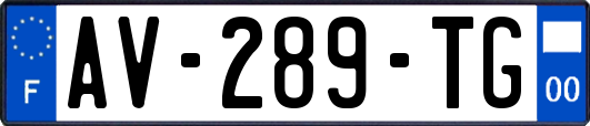 AV-289-TG