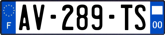 AV-289-TS