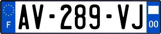 AV-289-VJ
