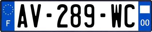 AV-289-WC