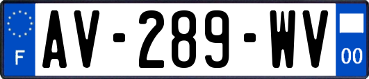 AV-289-WV