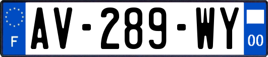 AV-289-WY