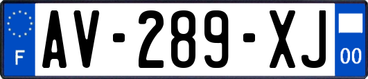 AV-289-XJ