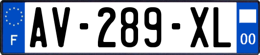 AV-289-XL