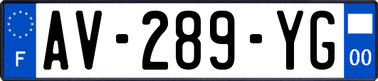 AV-289-YG