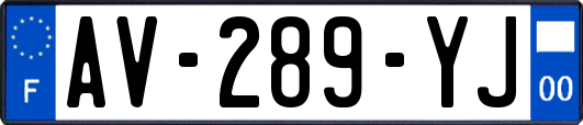 AV-289-YJ