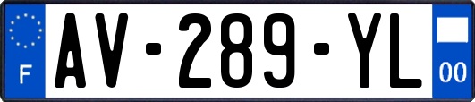 AV-289-YL