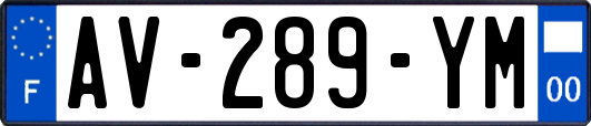 AV-289-YM